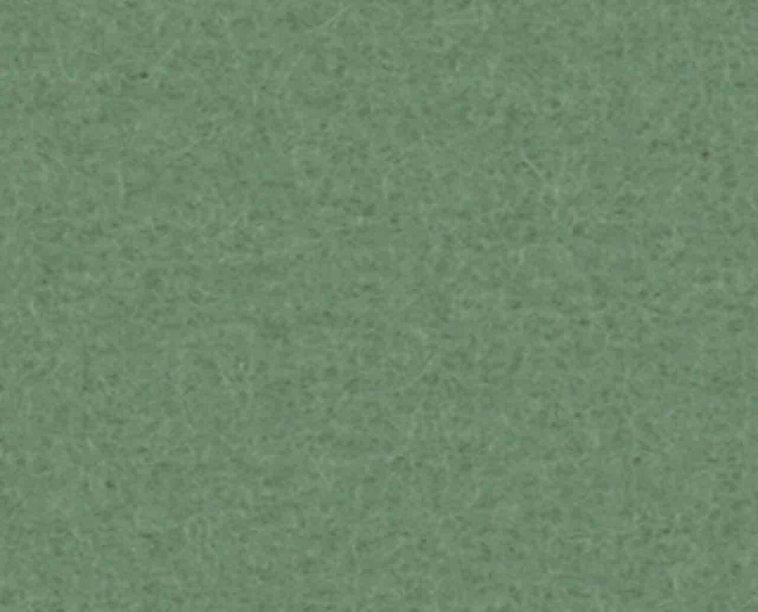 i009